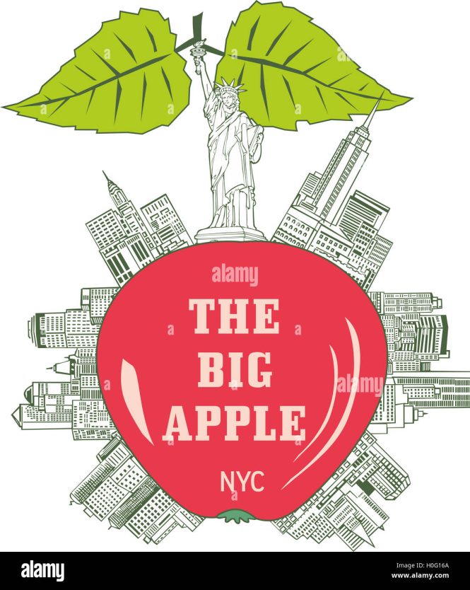 Featured image for Accommodation Options from New York City: Where to Stay in the Big Apple