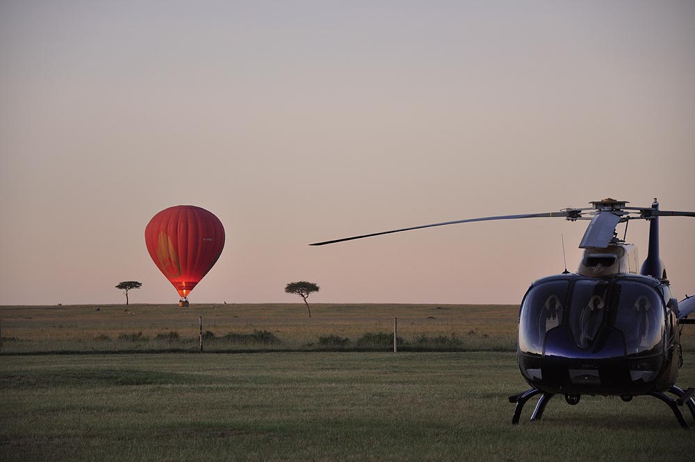 Content image for Planning a Safari in Kenya with Expert Travel Agencies