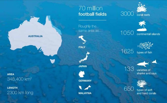 Featured image for Exploring the Great Barrier Reef with Expert Guidance from Travel Agencies