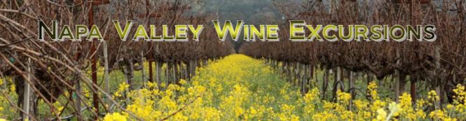 Featured image for Discovering the Wine Regions of Napa Valley with Specialized Travel Agencies