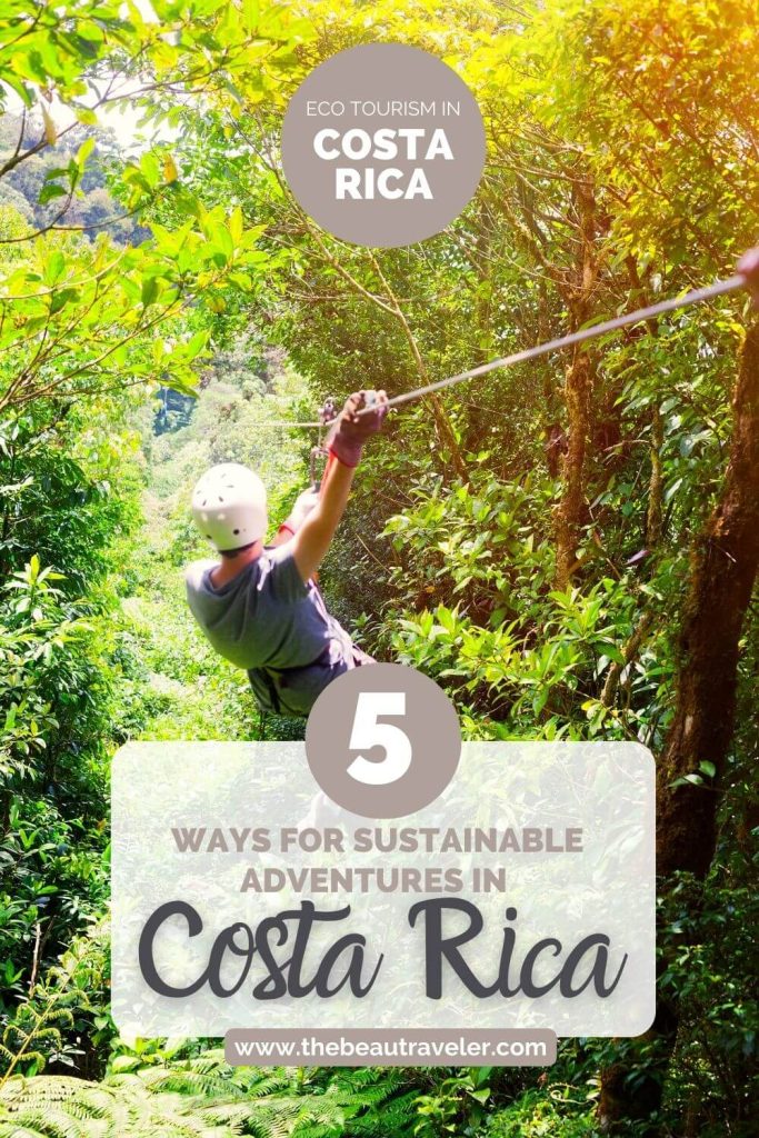 Content image for Planning an Eco-Tourism Trip in Costa Rica with Trusted Experts