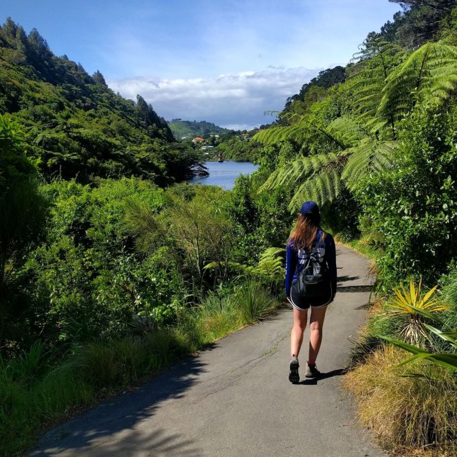 Featured image for Booking Unique Experiences in New Zealand with Expert Guidance