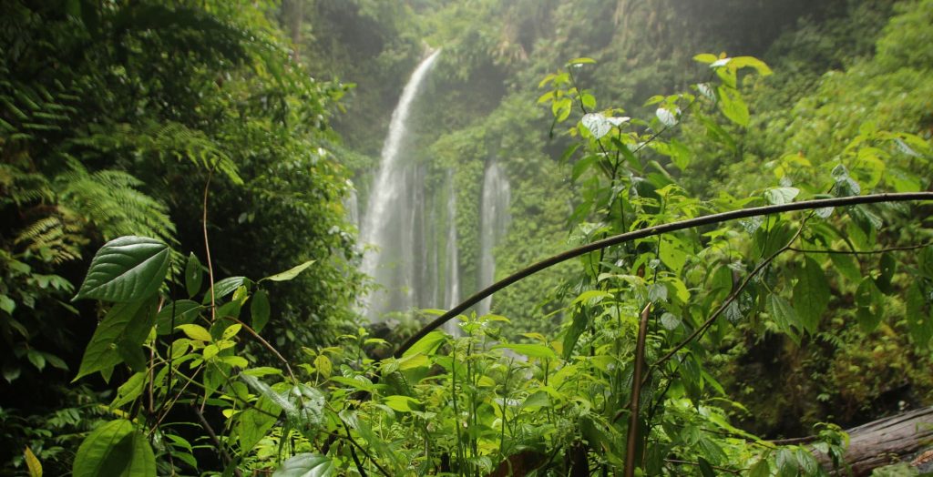 Content image for The Ultimate Glamping Experience: Where Luxury Meets Nature