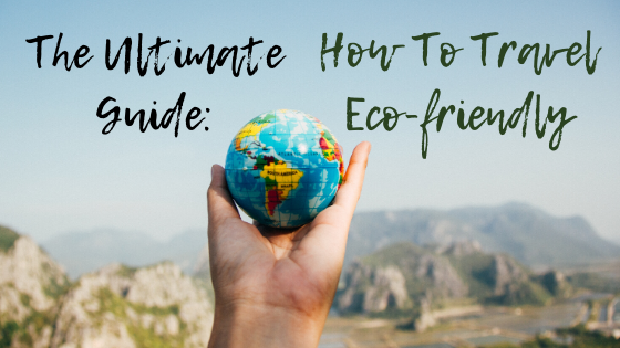 Content image for The Ultimate Guide to Eco-Friendly Lodging